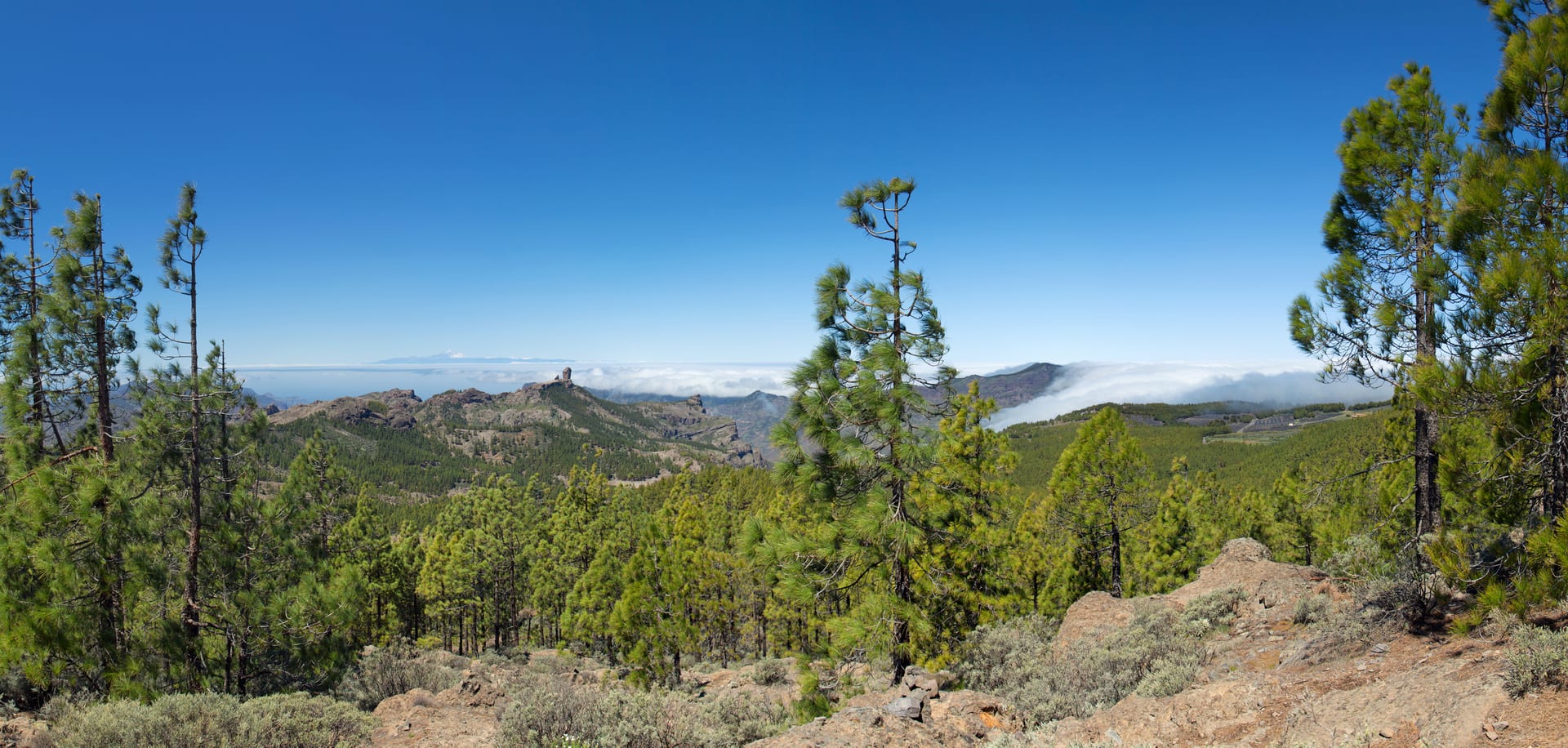 Private island tour through Gran Canaria landscapes